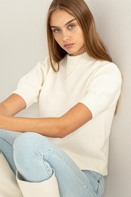 The Lovely Puff Sleeve Sweater Top